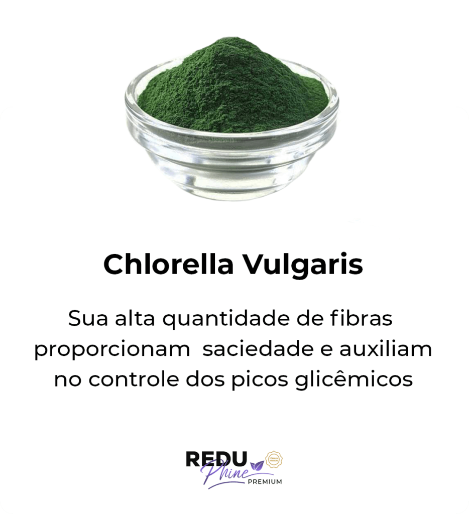 i-Chlorella-Vulgaris.png