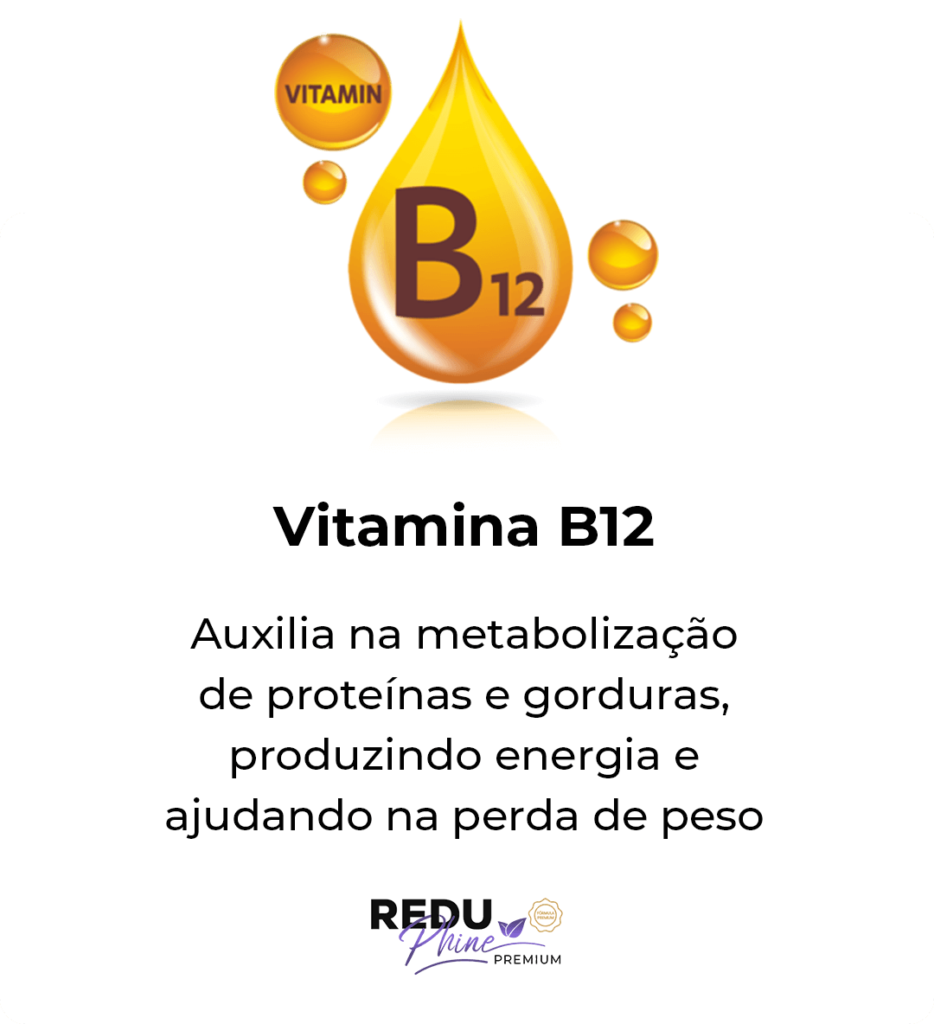 i-Vitamina-b12.png